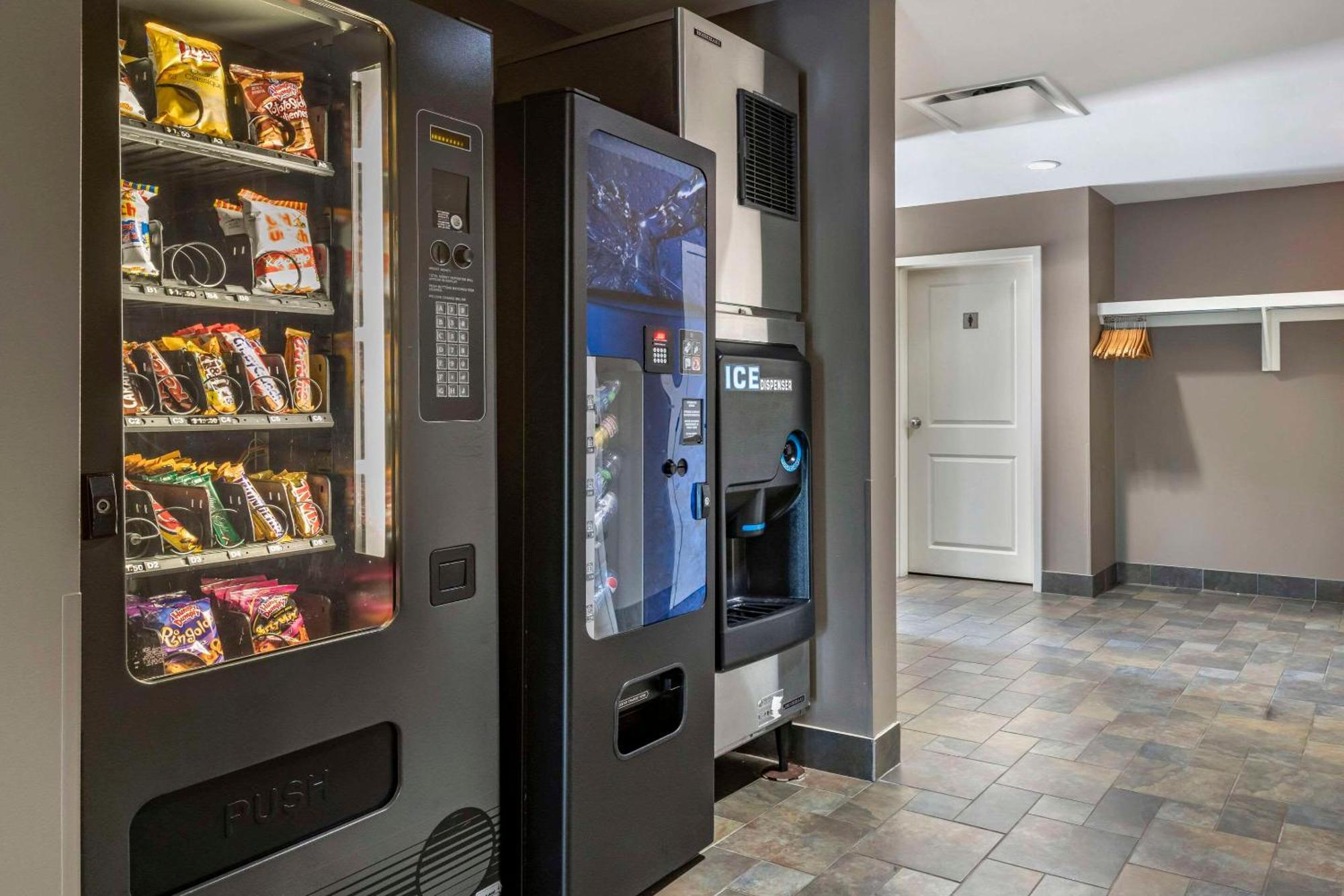 Quality Inn & Suites Quispamsis Rothesay Εξωτερικό φωτογραφία